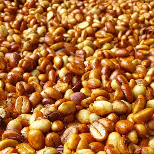 Costa Rica Cerro Dragón Geisha